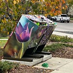 In a Park - Litter Pick Up or Overflowing Park Bins at 2255 Mahogany Bv SE