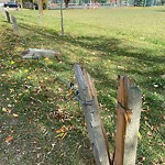 Fence Concern in a Park-WAM at 3222 1 St SW