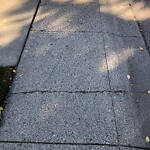 Sidewalk or Curb - Repair at 115 Wood Willow Cl SW
