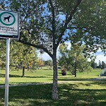 Fence Concern in a Park-WAM at 1015 14 St NW