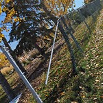 Fence Concern in a Park-WAM at 4 Harvest Hills Mr NE