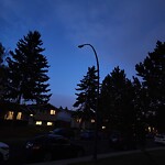 Streetlight Burnt out or Flickering at 6519 23 Av NE