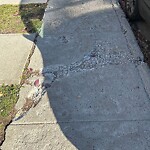 Sidewalk or Curb - Repair at 832 Mcpherson Rd NE