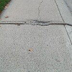 Sidewalk or Curb - Repair at 81 Douglas Park Mr SE