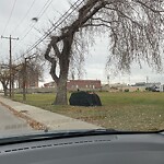 Debris on Street, Sidewalk, Boulevard at 1820 33 St SE