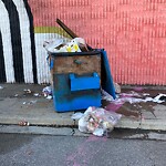 Debris on Street, Sidewalk, Boulevard at 3235 17 Av SE