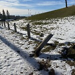 Fence Concern in a Park-WAM at 8791 Nose Hill Dr NW