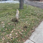 Fence Concern in a Park-WAM at 1319 16 A St NW