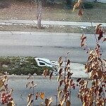 Road Signs on Street, Lane, Sidewalk - Repair or Replace at 207 Discovery Ridge Bv SW