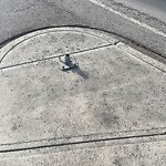 Road Signs on Street, Lane, Sidewalk - Repair or Replace at 13546 Symons Valley Rd NW