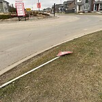 Road Signs on Street, Lane, Sidewalk - Repair or Replace at 850 Belmont Dr SW