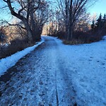 Pedestrian and Cycling Pathway - Repair - WAM at 2429 Erlton St SW