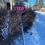 Sign on Street, Lane, Sidewalk - Repair or Replace at 4103 40 St NW