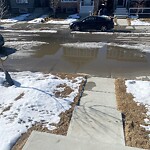 Catch Basin / Storm Drain Concerns at 163 Evanscrest Pl NW