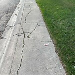 Sidewalk or Curb - Repair at 135 Penworth Cr SE