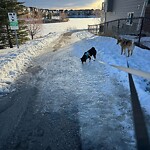 Pedestrian and Cycling Pathway - Repair - WAM at 8 Legacy Cir SE Legacy