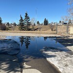 Catch Basin / Storm Drain Concerns at 219 Silvergrove Wy NW