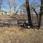 Debris on Street, Sidewalk, Boulevard at 2224 1 St SE