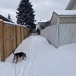 Snow On City-maintained Pathway or Sidewalk-WAM (OLD SR) at 243 Queen Charlotte Pl SE