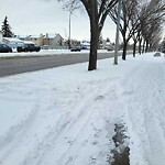 Snow On City-maintained Pathway or Sidewalk-WAM (OLD SR) at 117 Shannon Ci SW