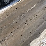 Debris on Street, Sidewalk, Boulevard at 2040 37 St SW