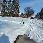 Snow On City-maintained Pathway or Sidewalk-WAM at 336 Templeview Dr NE