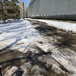 Snow On City-maintained Pathway or Sidewalk-WAM at 98 22 Av SW