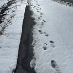 Snow On City-maintained Pathway or Sidewalk at 6092 Country Hills Bv NE