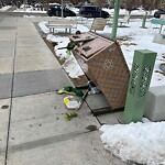 In a Park - Litter Pick Up or Overflowing Park Bins-WAM at 936 16 Av SW