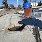 Sidewalk or Curb - Repair at Pinetown Pl NE Northeast Calgary Calgary