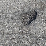 Pothole Repair at 1810 32 Av SW