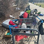 In a Park - Litter Pick Up or Overflowing Park Bins at 423 12 Av SW