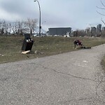 In a Park - Litter Pick Up or Overflowing Park Bins at 2298 Erlton Rd SW
