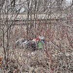 Debris on Street, Sidewalk, Boulevard at 2240 Pumphouse Av SW