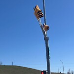 Traffic/Pedestrian Signal Repair at 1316 Memorial Dr NE