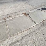 On-Street Bike Lane - Repair at 4407 49 St NE