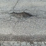 Pothole Repair at 221 Citadel Ci NW