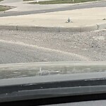 Road Signs on Street, Lane, Sidewalk - Repair or Replace at 7300 80 Av NE