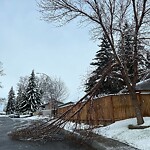 Tree Maintenance - City Owned at 13223 Lake Crimson Dr SE