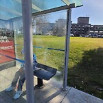 Bus Stop - Shelter Concern at 1296 Mckinnon Dr NE
