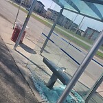 Bus Stop - Shelter Concern at 303 Copperstone Mr SE
