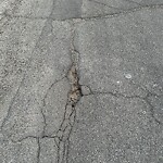 Pothole Repair at 12 Grafton Cr SW