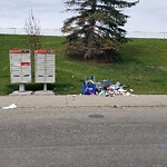 Debris on Street, Sidewalk, Boulevard at 1318 Mardale Dr NE