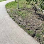 Shrubs, Flowers, Leaves Maintenance in a Park at 8 Magnolia Mt SE