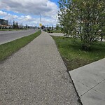 Debris on Street, Sidewalk, Boulevard at 3623 Westwinds Dr NE