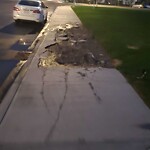 Sidewalk or Curb - Repair at 4073 Cornerstone Bv NE