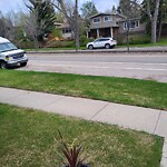 Tree Maintenance - City Owned at 4415 Charleswood Dr NW