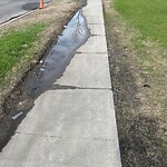 Catch Basin / Storm Drain Concerns at 238 Country Village Wy NE