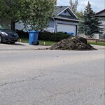 Debris on Street, Sidewalk, Boulevard at 31 Bridlewood Rd SW