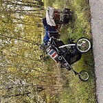 Debris on Street, Sidewalk, Boulevard at Bow River Pathway